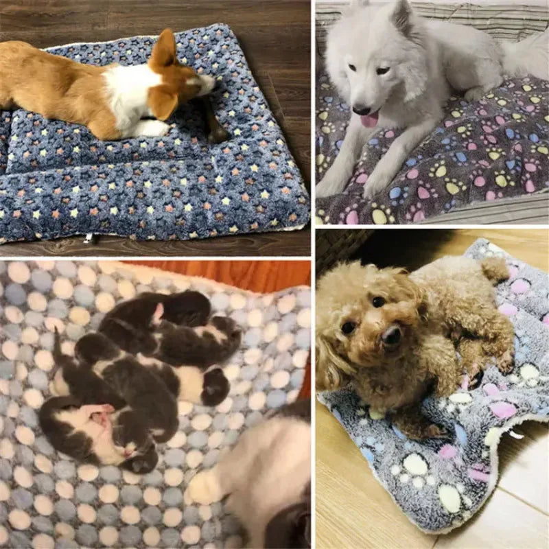 Cozy Cloud Soft Pet Bed